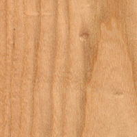 Coffeenut Hardwood Lumber at Austin Hardwoods of Denver