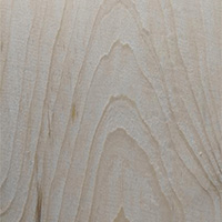 Eastern White Pine Hardwood Lumber at Austin Hardwoods of Denver