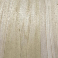 Poplar Hardwood Lumber at Austin Hardwoods of Denver