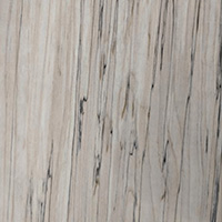 Spalted Maple Hardwood Lumber at Austin Hardwoods of Denver