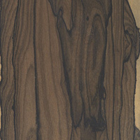 Ziricote Hardwood Lumber at Austin Hardwoods of Denver